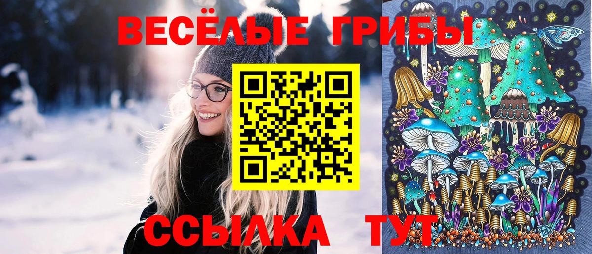 Галлюциногенные грибы Cubensis Рославль